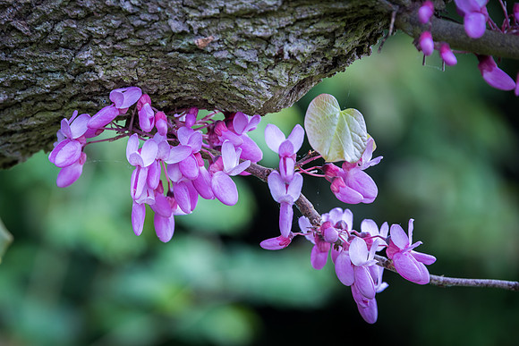 Waterperry-6