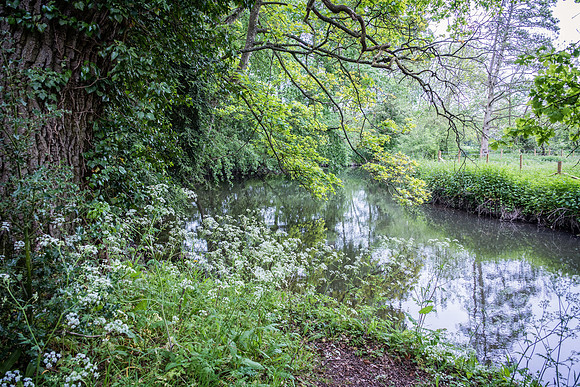 Waterperry-19