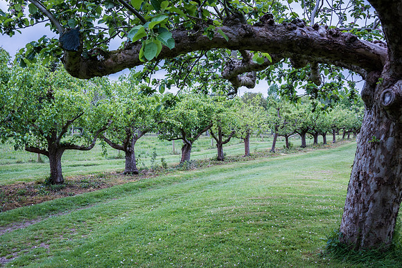 Waterperry-21