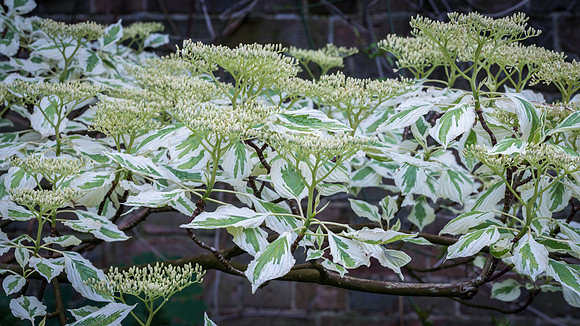 Waterperry-9
