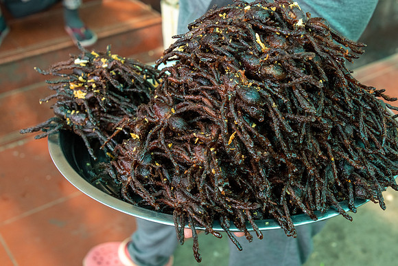 Spider Market at Skun -5