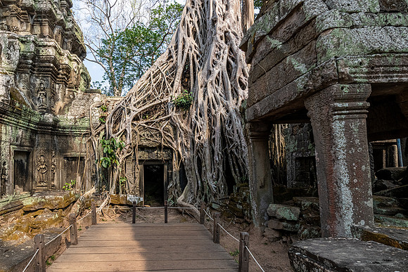 Ta Prohm Temple -19