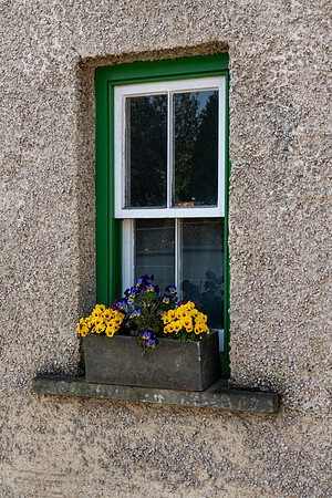 Pretty Window
