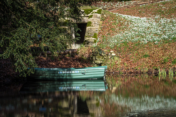 Rococo Snowdrops -6