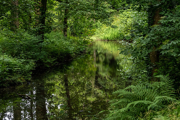 Hodnet Hall-2