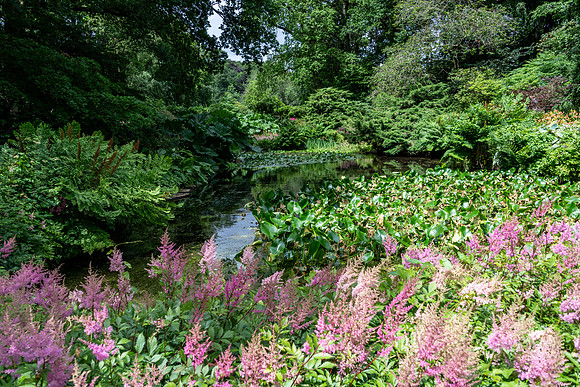 Hodnet Hall-6