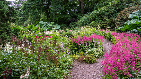 Hodnet Hall-10