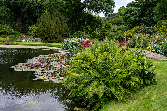 Hodnet Hall-15