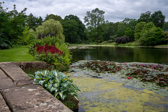 Hodnet Hall-16