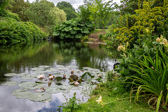 Hodnet Hall-26
