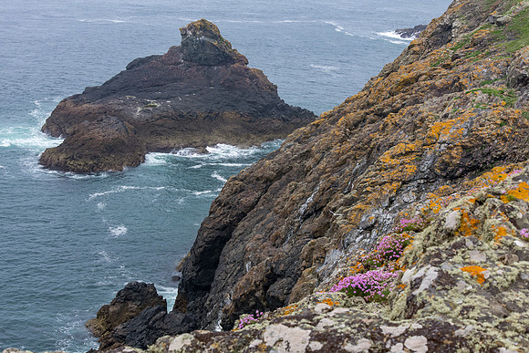 Rugged Skomer