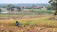 Rural Farming Village -4