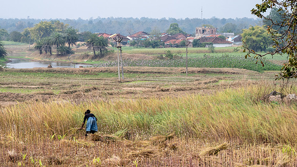 Rural Farming Village -4