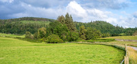 Newton Stewart -7