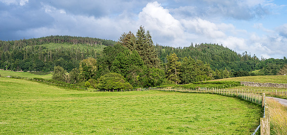 Newton Stewart -7