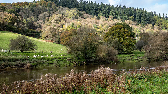 Wye Valley English Side -2
