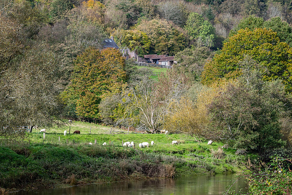 Wye Valley English Side -3