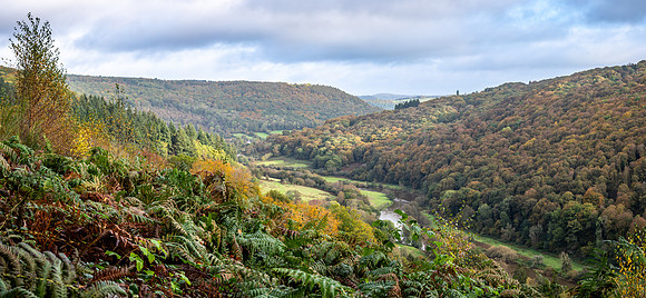 Wye Valley Woodlands Welsh Side -1