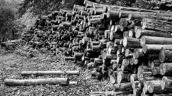 Log Store