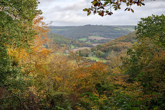 Offas Dyke Walk Whitestone -1