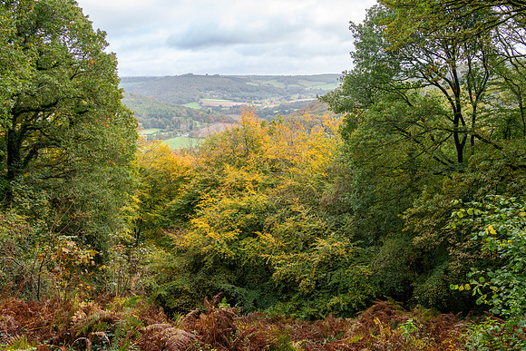 Offas Dyke Walk Whitestone -2