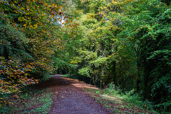 Offas Dyke Walk Whitestone -3