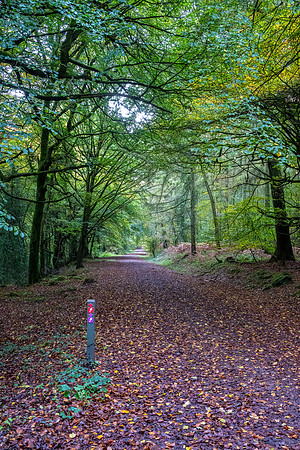Offas Dyke Walk Whitestone -4