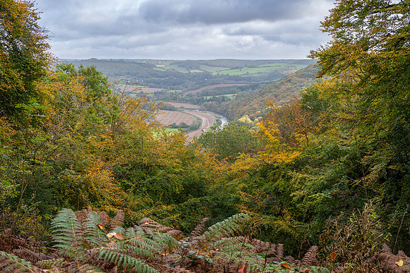 Offas Dyke Walk Whitestone -5
