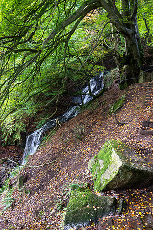Cleddau Shoots -2
