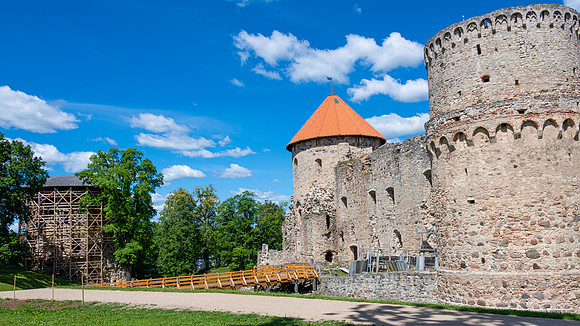 Cesis -4