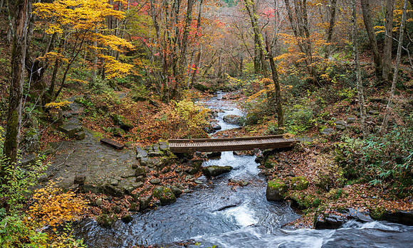 Utsue Forty Eight Waterfalls-12