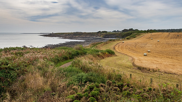 Dunstanburgh Coast -1