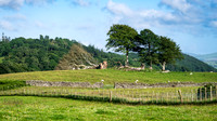 Dumfries & Galloway-5