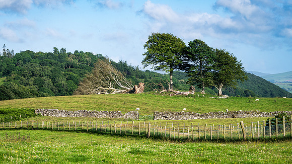 Dumfries & Galloway-5