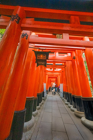 Fushimi Inari Shrine-6