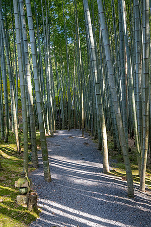 Enkoji Temple-4