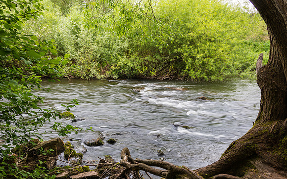 River Mono -1