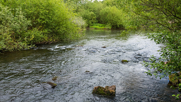 River Mono -2