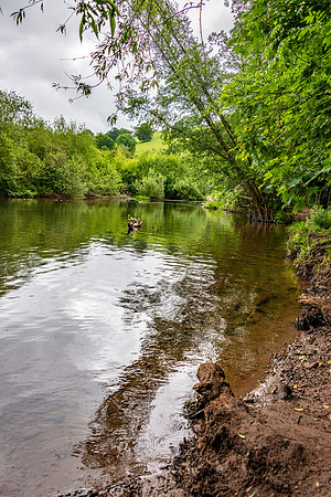 River Mono -3