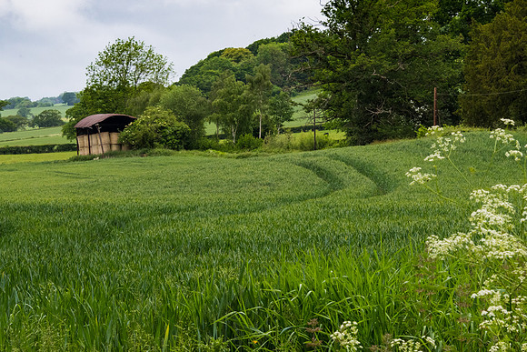 Countryside -1