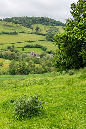 Countryside -3