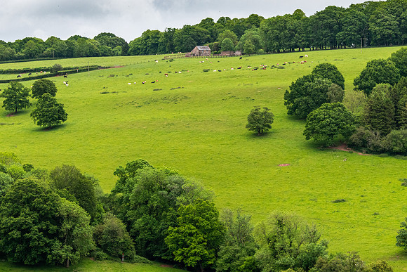 Countryside -4