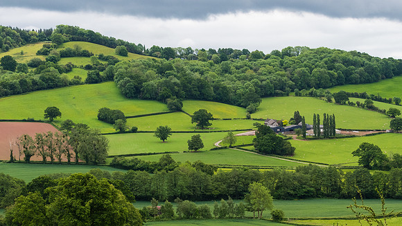 Countryside -5
