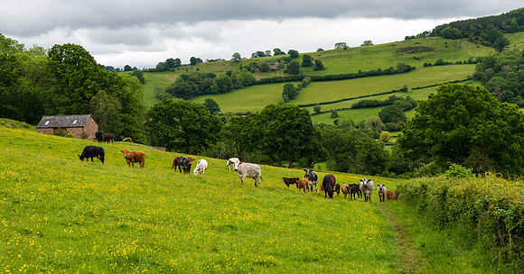 Countryside -6