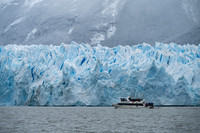 El Califate & Moreno Glacier Landscapes