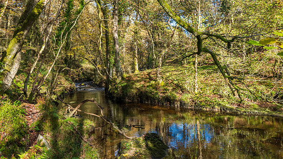 Afon Nedd Fechan in Autumn -1