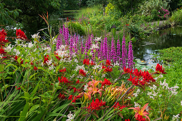 Glenwhan Gardens -5