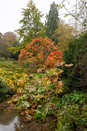 Sezincote -15