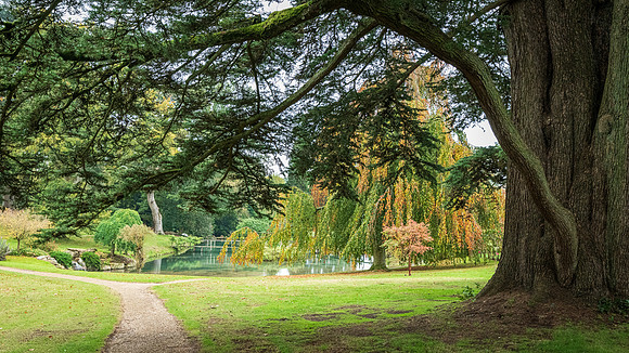 Cotswolds-14