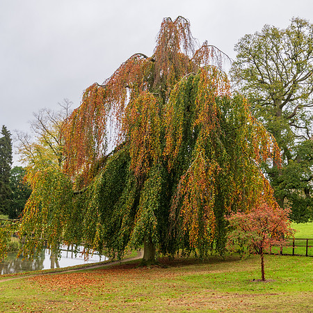 Sezincote -11